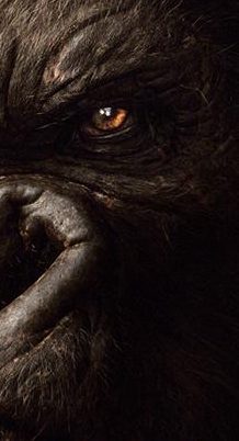 Kong: Skull Island- Skull Perspective